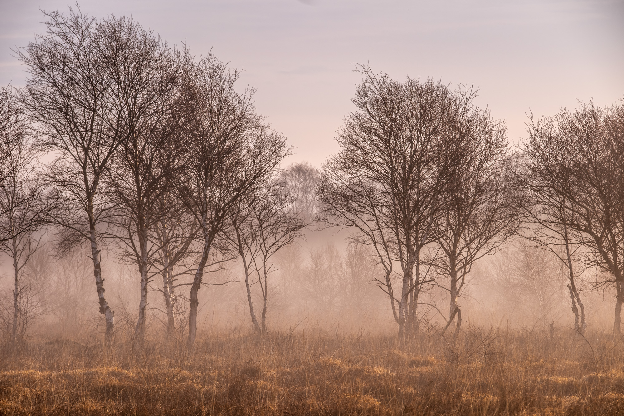 2023 03 19  xt 5   4284 HDR